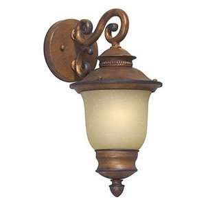  Forte Lighting 1726  01 41 Outdoor Sconce, Rustic Sienna 
