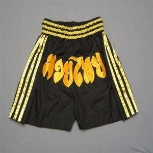  Muay Thai Shorts1