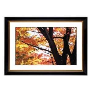  Autumn Color Giclee 41 3/8 Wide Wall Art