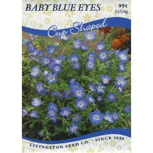  Baby Blue Eyes Patio, Lawn & Garden