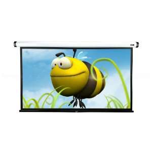   Home2 Electric Screen (200 Inch 11 Aspect Ratio) Electronics