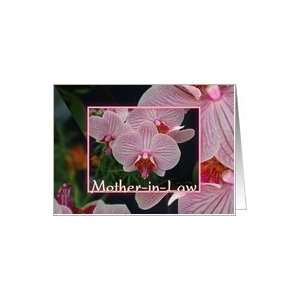  Mothers Day,For Mother,Flowers Pink,White,Digital Design 