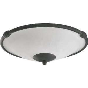   Light Ceiling Fan Light Kit Toasted Sienna 1191 844