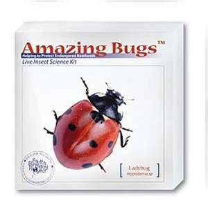   Bugs Kit, Ladybug Kit (with prepaid coupon) Industrial & Scientific