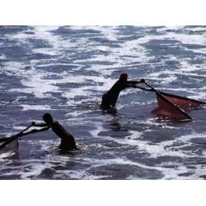  Fishing for Brine on the Southern Coast North of Salinas 