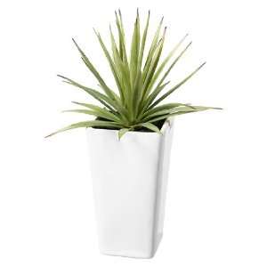  9 Mini Artificial Agave Plant   Potted with Dirt