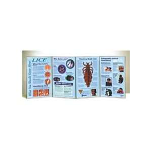  What You Should Know About Lice Folding Display 