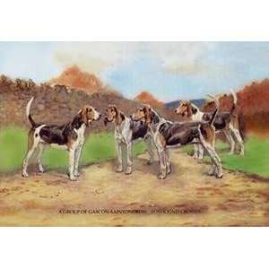  Vintage Art Group of Gascon Saintongeois Foxhound Crosses 