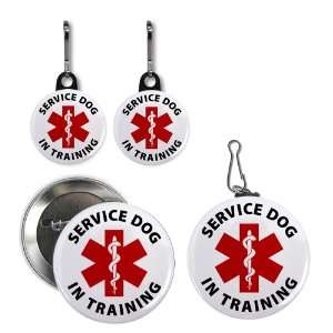  Creative Clam Red Service Dog In Training Medical Alert 