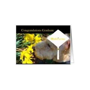   Mother in law, Terrier in Graduation Cap Smells Flowers Card Health
