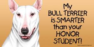 Bull Terrier Smarter Honor Student Car Magnet 8x4 dog  