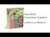 Succulent Container Gardens Design Eye Catching Displays with 350 