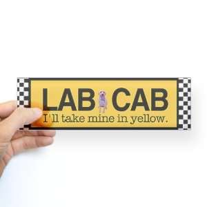  Yellow Lab Pets Bumper Sticker by  Everything 