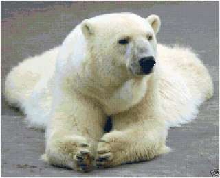 Polar Bear Counted Cross Stitch Pattern Arctic Animal  