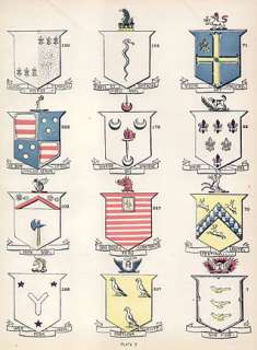   Surnames IRELAND Coats of Arms 100+ year old Antique print  