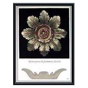   Rosette VI   Artist Antonini  Poster Size 18 X 14