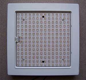 196 beads 12W LED White Ceiling Mount Lamp Light 220V 12V 110V  