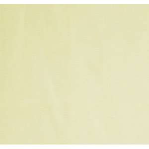  8732 Brittany in Vanilla by Pindler Fabric