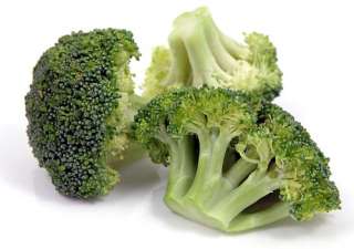 Premium Crop Broccoli 4 Plants   Great Yields & Taste  