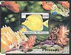 yellow tang fish  