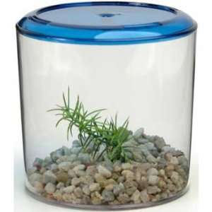   Boxed (Catalog Category Aquarium / Plastic Fish Bowls)