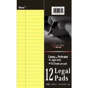   , 12 Pack, 5 x 8 Inches, 50 Sheets per Pad (95810)