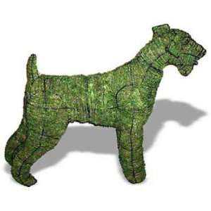  Airedale Mossed Topiary Frame