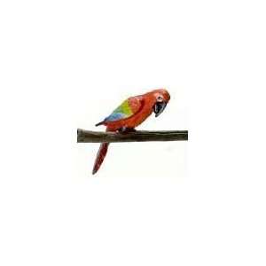  Dollhouse Green Wing Macaw Bird Toys & Games