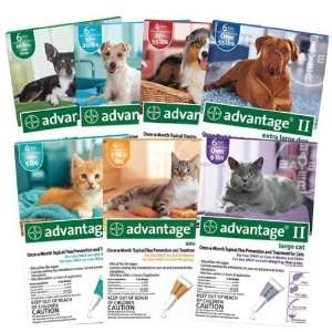  Bayer Advantage II Flea Control for Cats over 9 lbs   4 