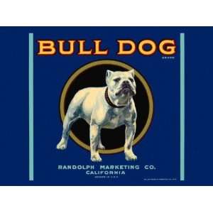  Crate Label with a Bull DOG. California USA 12 X 16 