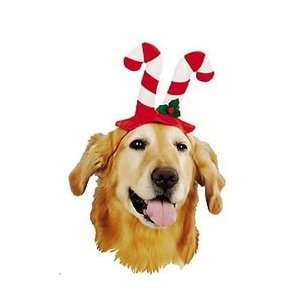   Candy Cane Holidays   Pet Costume Hat   Size LARGE