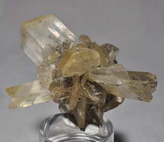 Amazing Winnipeg Selenite Natural Radial Crystal  
