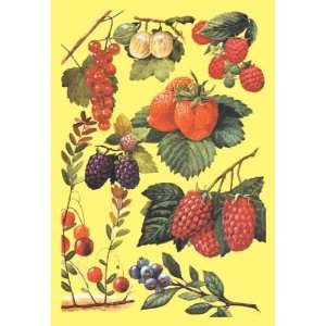 Exclusive By Buyenlarge Berries 12x18 Giclee on canvas  