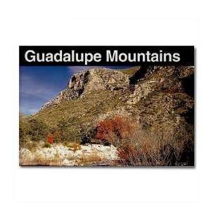  Guadalupe Mountains National Park Animals Rectangle Magnet 