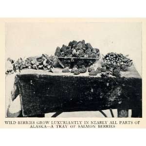  1913 Halftone Print Wild Salmon Berries Alaska Food Fruit 