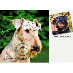  Airedale Terrier Dog Drink Coasters