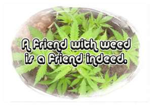 MARIJUANA WHITE WIDOW T SHIRT Pot Ganja Weed Plant NEW  