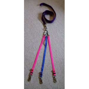   Webbing, Strong Steel Hardware, Walk 1, 2 or 3 with One Leash, Large