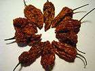 10) Sun Dried GHOST PEPPER Bhut Jolokia Chili Seed Pod