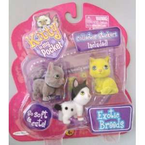  Kitty in My Pocket Exotic Breeds Toys & Games