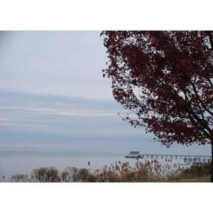  Waterscape. Wide View of the Chesapeake Bay, Maryland 8 