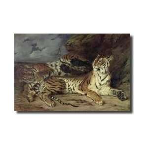  Young Tiger Playing With His Mother 1830 Giclee Print 