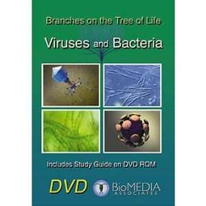Branches on the Tree of Life Viruses/Bacteria DVD  