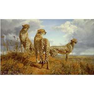  Donald Grant   Cheetah Trio