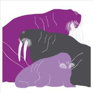  Animal   Walrus Stretched Wall Art Size 18 x 18, Color 