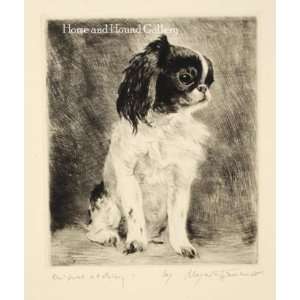  Toy Spaniel Engraving by Meyer Eberhardt Toys & Games