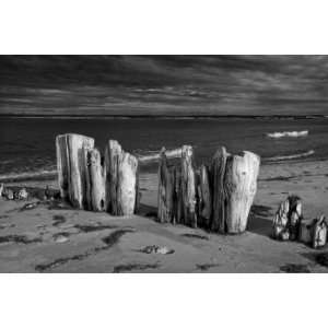  Shore Pilings on Prince Edward Island, Limited Edition 