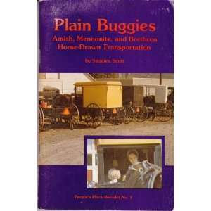 Plain Buggies  amish, Mennonite, and Brethren Horse Drawn 