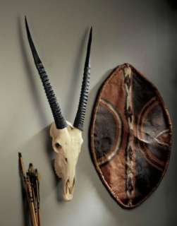 Gemsbok Antelope Horn African Sculptural Wall Trophy Big Game Mount 