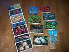 postcards 1 postcard booklet Hawaii flowers Coco Palm
